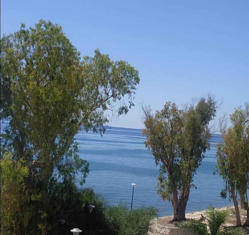 Galatex Μaisonette Apartamento Limassol Exterior foto